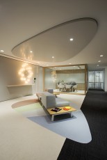 政府办公空间